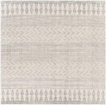 Chinnor Neutral Area Rug