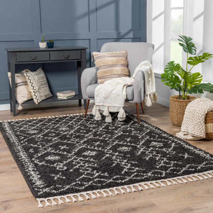 Godalming Black Plush Carpet - Decor Addict, LLC