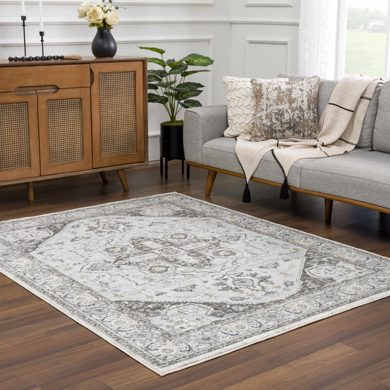 Liverpool Light Gray Area Rug - Decor Addict, LLC