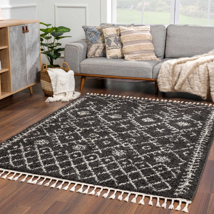 Godalming Black Plush Carpet - Decor Addict, LLC