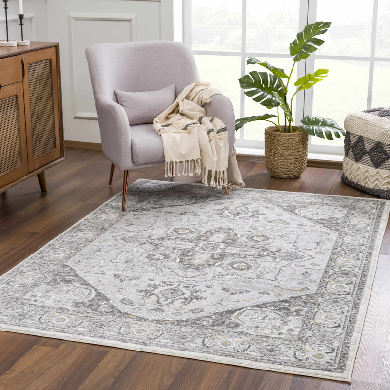 Liverpool Light Gray Area Rug - Decor Addict, LLC