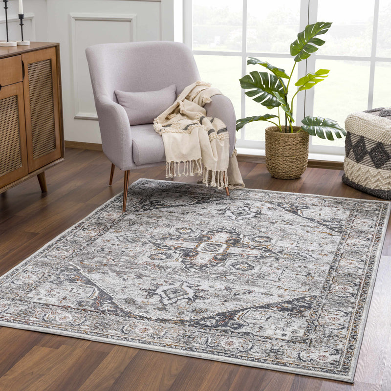 Liverpool Dark Gray Area Rug - Decor Addict, LLC