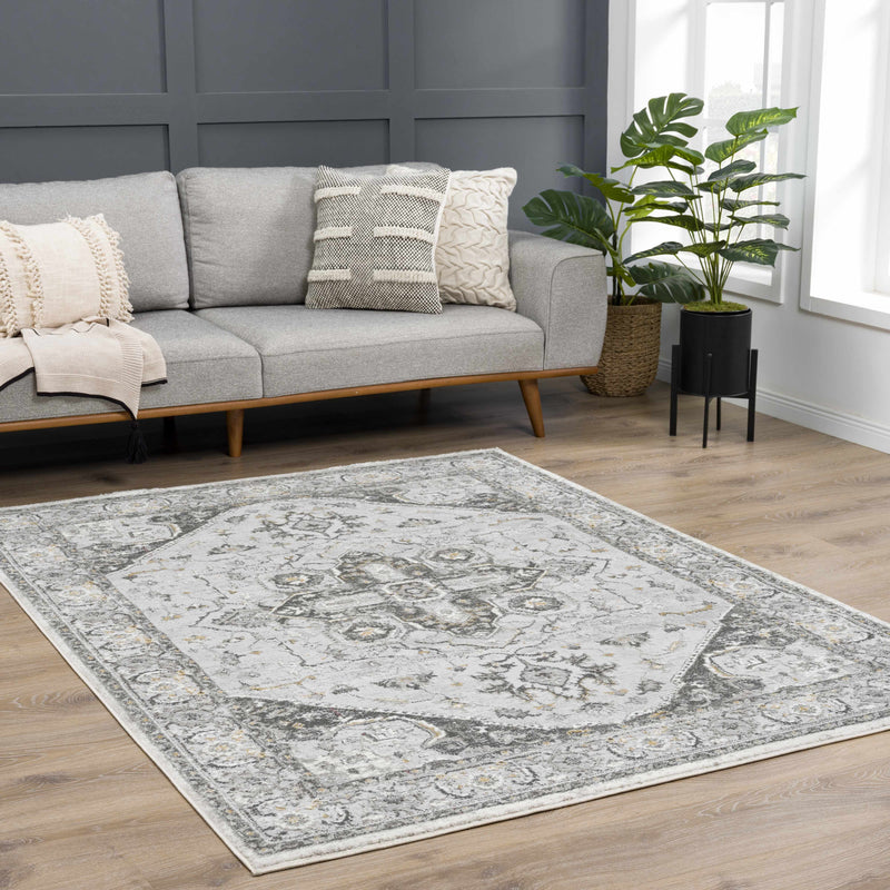 Liverpool Light Gray Area Rug - Decor Addict, LLC