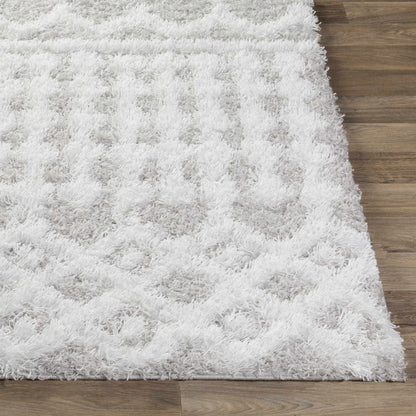 Vernonburg Shag Area Rug - Decor Addict, LLC