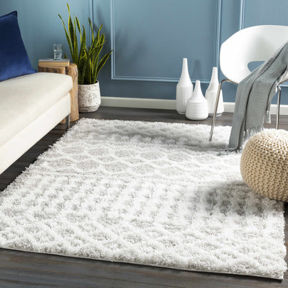 Vernonburg Shag Area Rug - Decor Addict, LLC