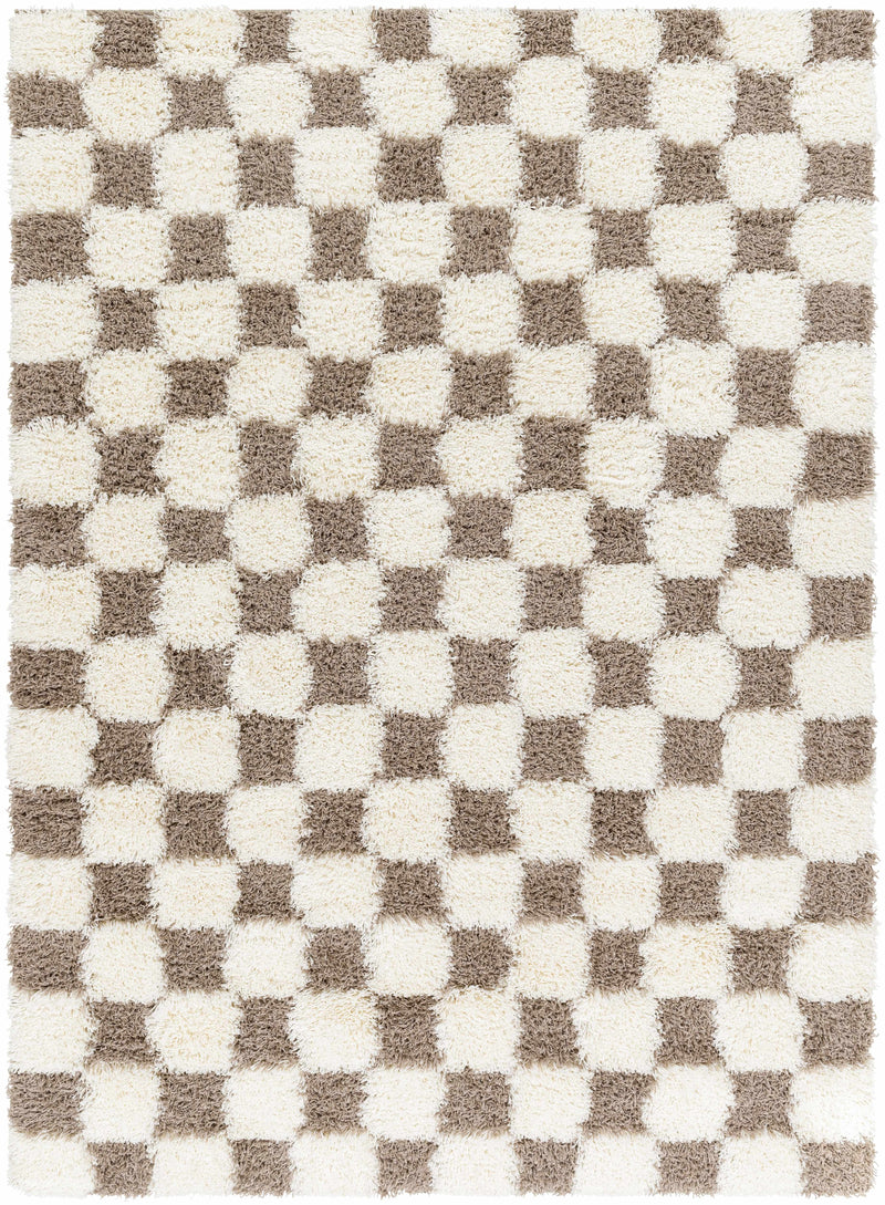 Atira Brown Checkered Area Rug