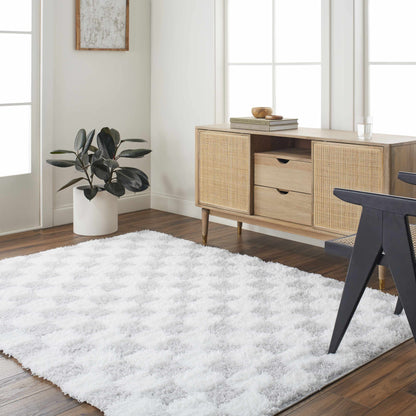 Atira Gray Checkered Area Rug - Decor Addict, LLC