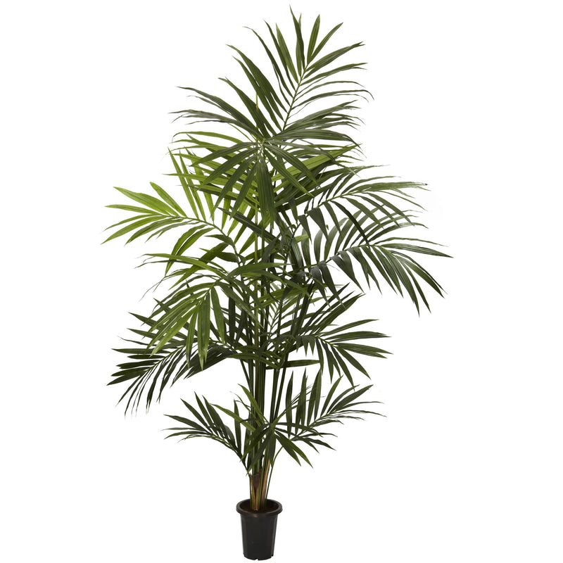 Árbol de seda de palma Kentia de 7'
