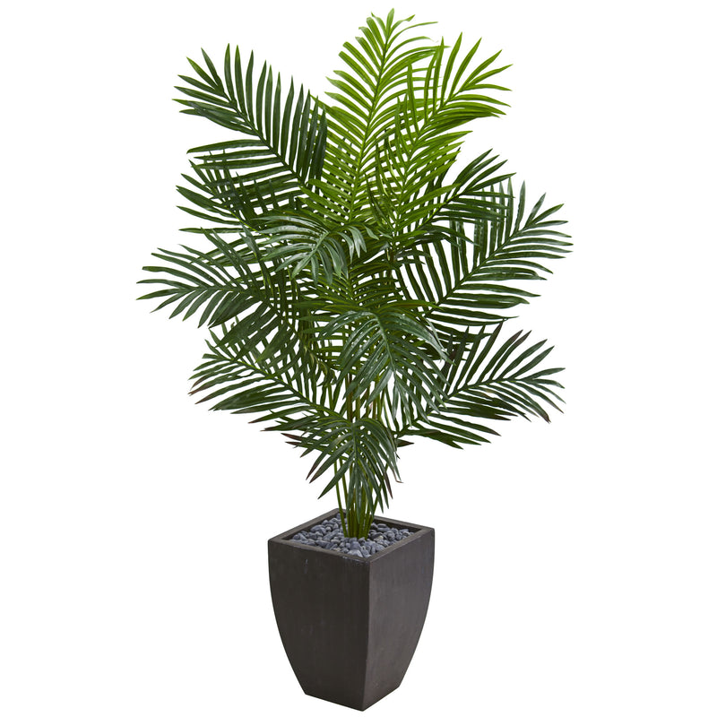 5.5' Paradise Artificial Palm Tree in Black Planter