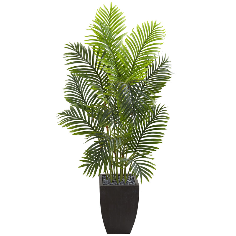 5.5' Paradise Palm Artificial Tree in Square Planter
