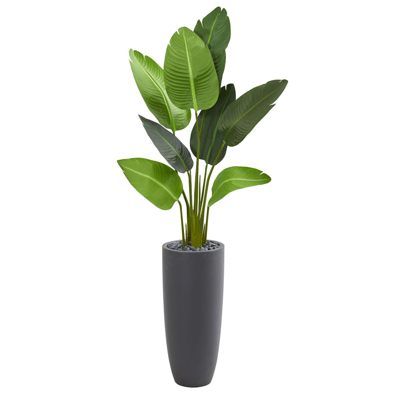 5.5' Traveler's Palm Artificial Tree in Gray Planter