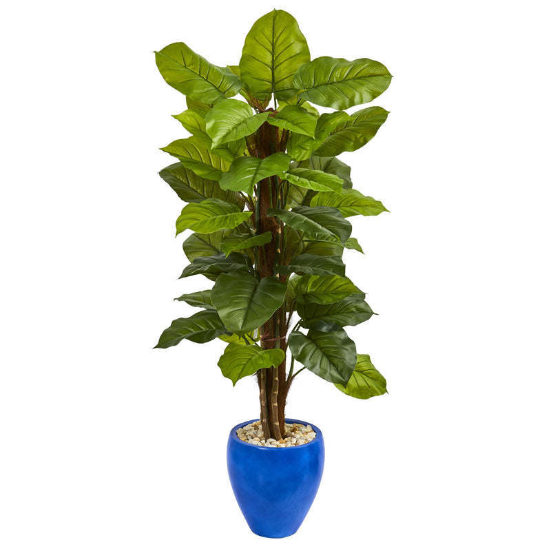 5’ Large Leaf Philodendron Artificial Plant in Blue Planter (Real Touch)
