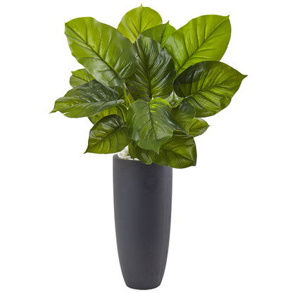 Large Leaf Philodendron with Gray Cylindrical Planter - Decor Addict, LLC