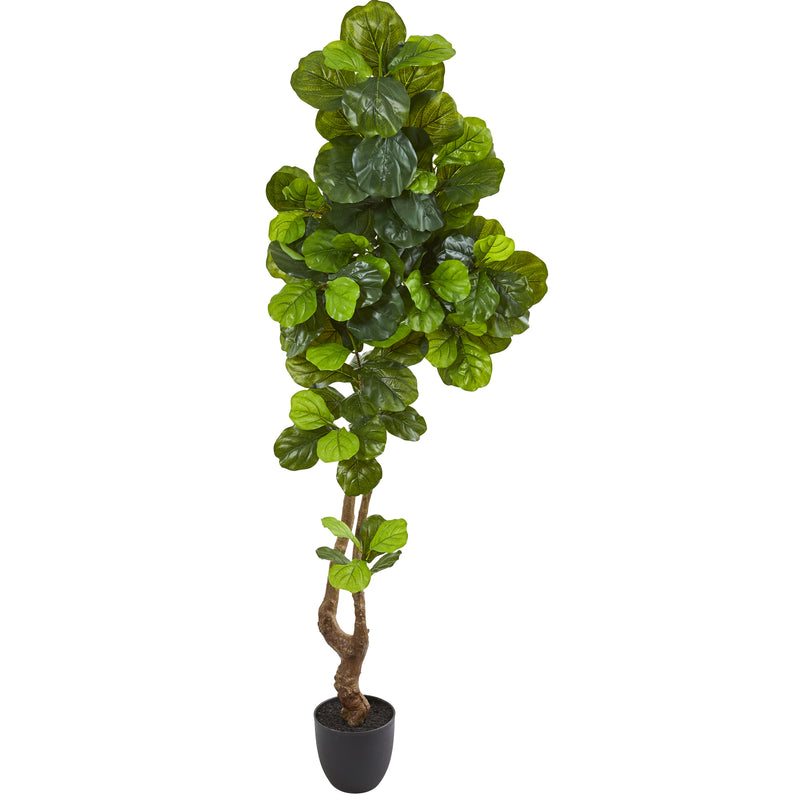 78” Fiddle Leaf Artificial Tree (Real Touch)