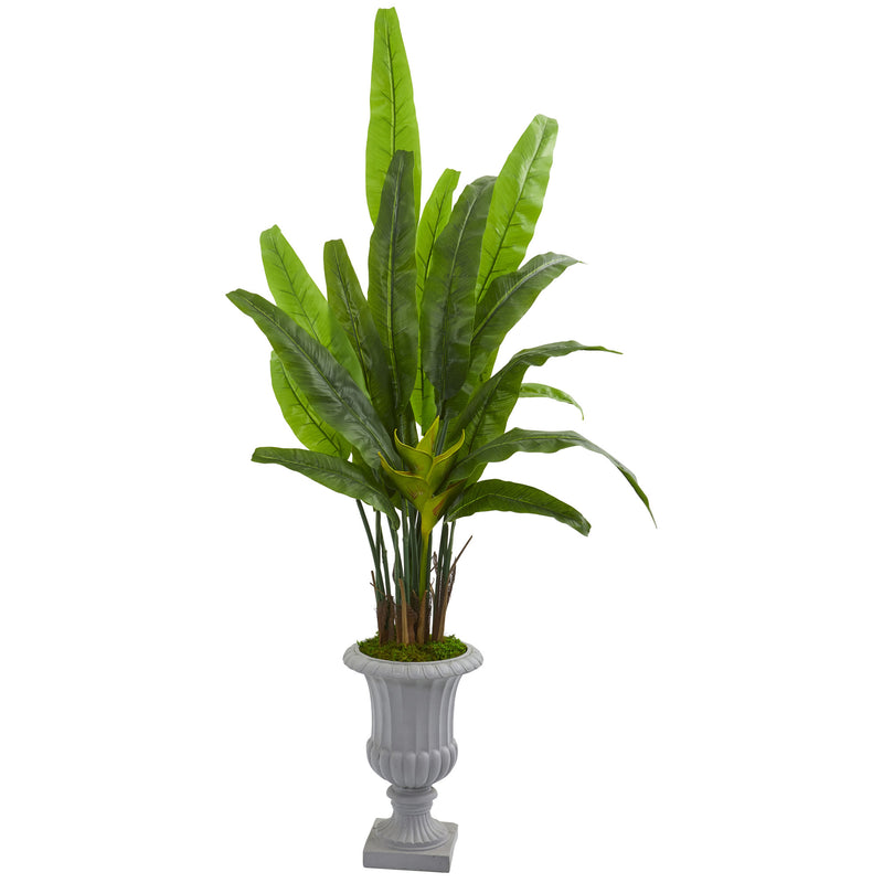 5.5’ Travelers Palm Artificial Tree in Gray Urn