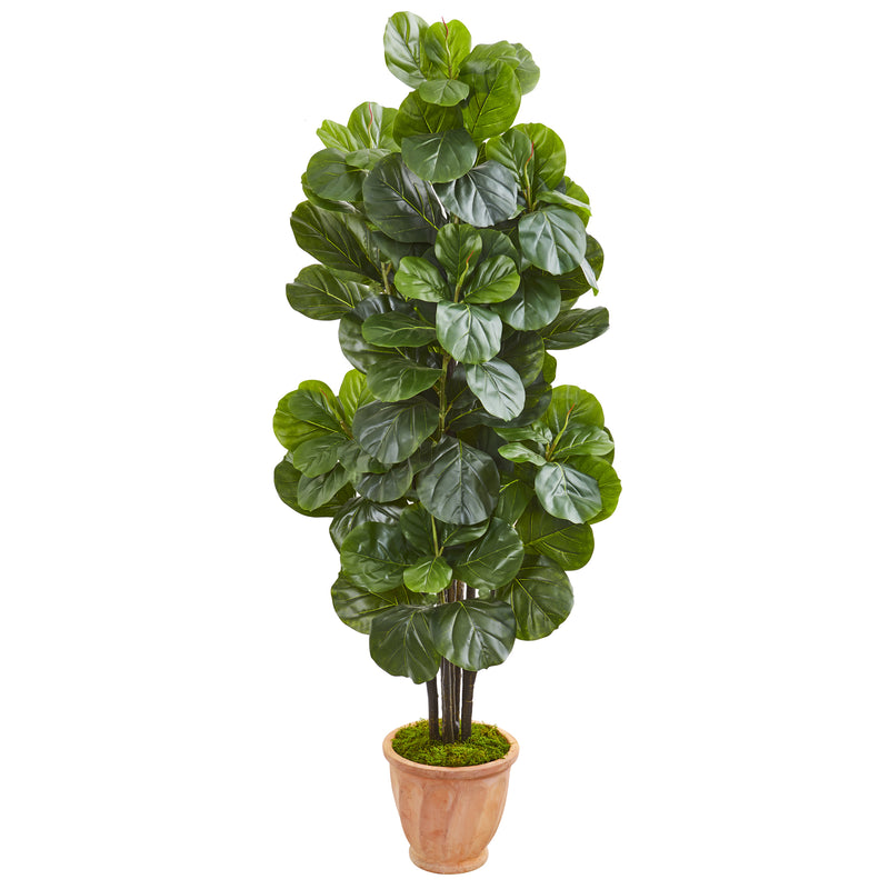 67” Fiddle Leaf Fig Artificial Tree in Terracotta Planter
