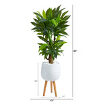 46” Corn Stalk Dracaena Artificial Plant in White Planter with Stand (Real Touch)