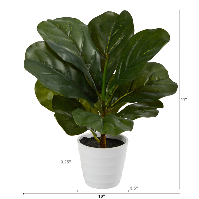 11” Fiddle Leaf Artificial Plant in White Planter (Real Touch)