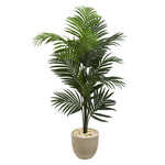 62” Kentia Artificial Palm Tree in Sandstone Planter