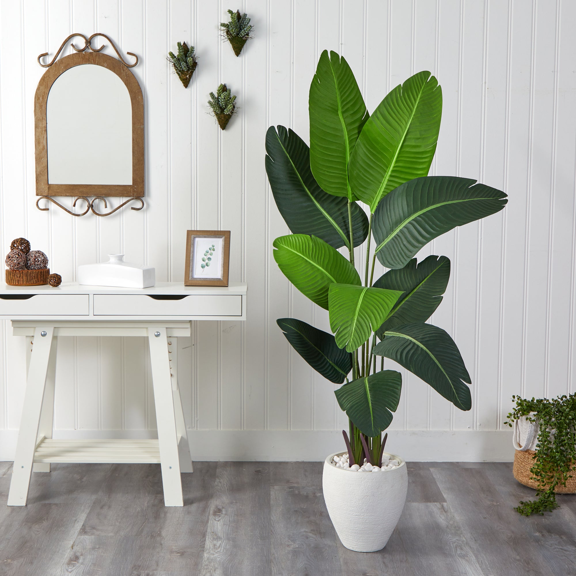 5.5’ Travelers Palm Artificial Tree in White Planter - Decor Addict, LLC