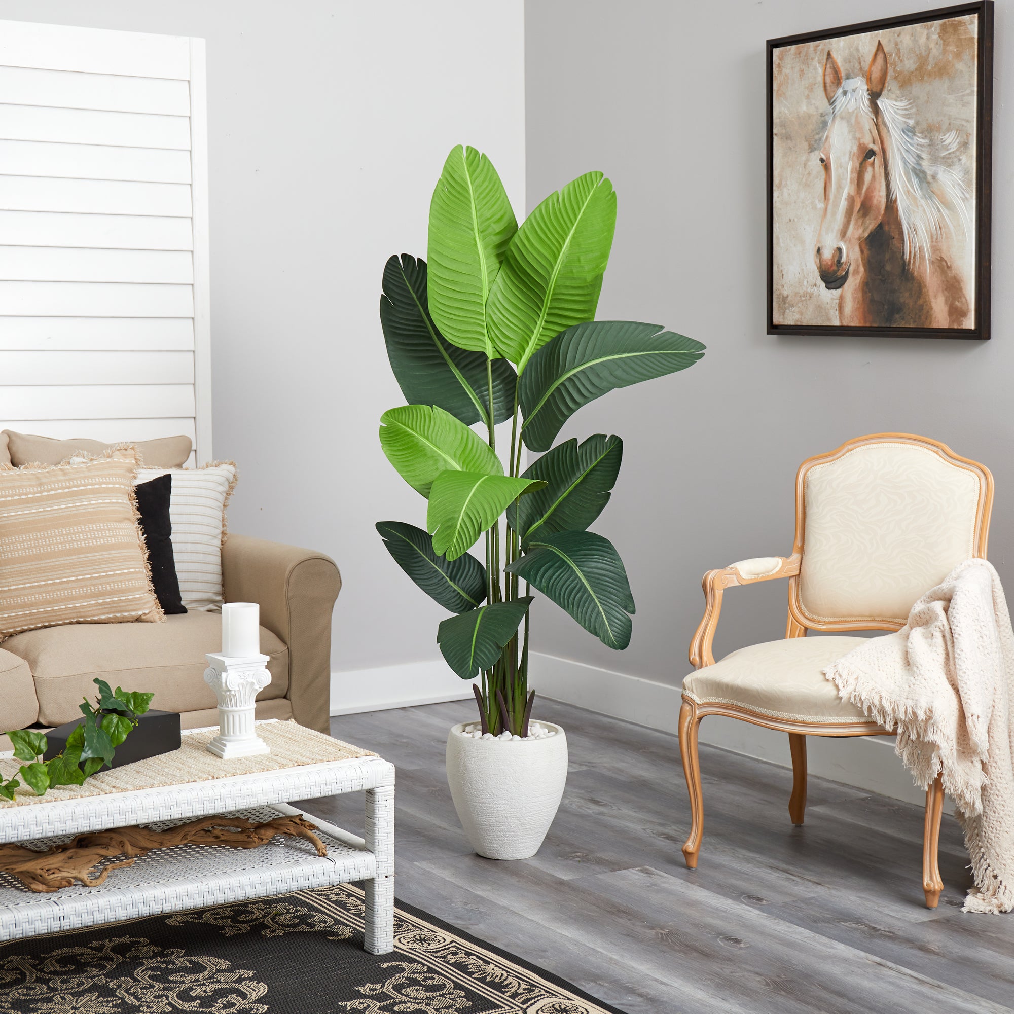 5.5’ Travelers Palm Artificial Tree in White Planter - Decor Addict, LLC