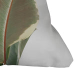 Cassia Beck Ficus Tineke Coussin
